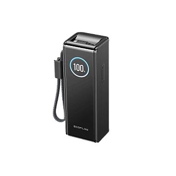 Павербанк EcoFlow RAPID Power Bank с кабелями 25000mAh черный