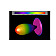 Антенна 5.0GHz TrueRC X-RAY 5.0 (RHCP)