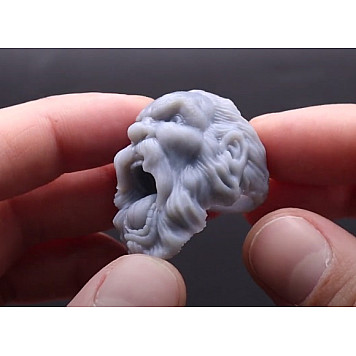 3Д принтер Wanhao CGR4K mono Fast-5